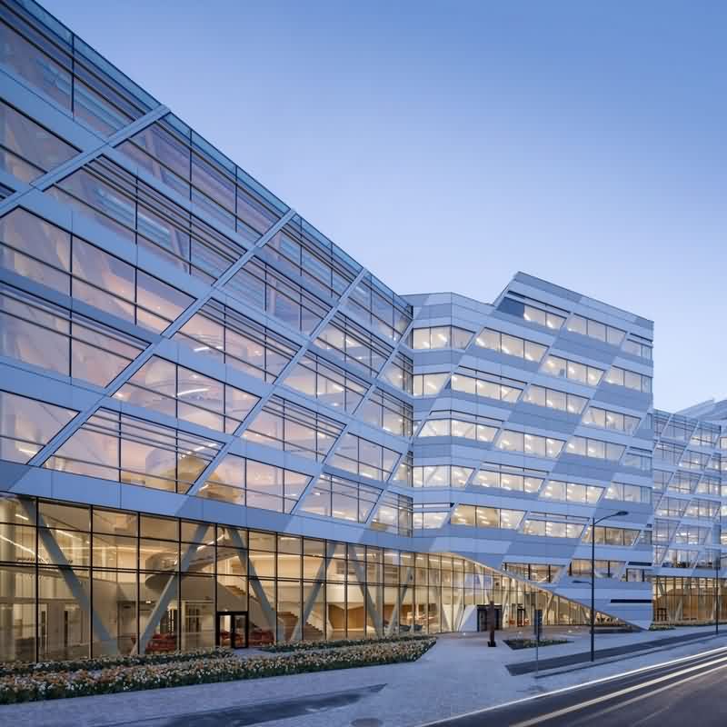 网站里面买春药